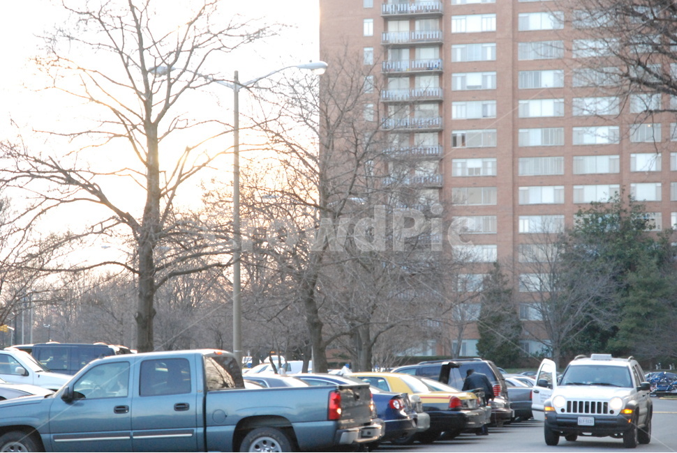 아파트,나무,차,가을,트럭,suv,apartment,trees,cars,autumn,fall,truck,complex