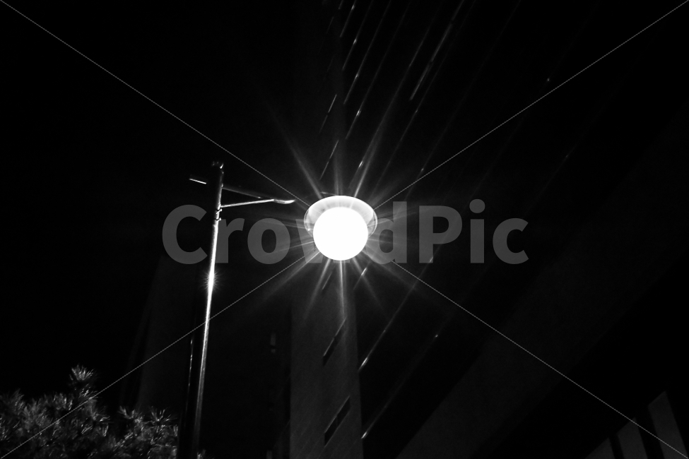 야경,가로등,빛갈라짐,감성,Nikon,풍경사진,감성사진,인물사진,스냅사진,일상,취미,촬영,소통,데일리,포토,photo,photographer,picture,pic,daily,dailyphoto,dailypic,촬영문의,출사문의,야경,밤,풍경,nightscape,night,landscape,흑백,모노톤,monochrome,black and white,lighting,조명