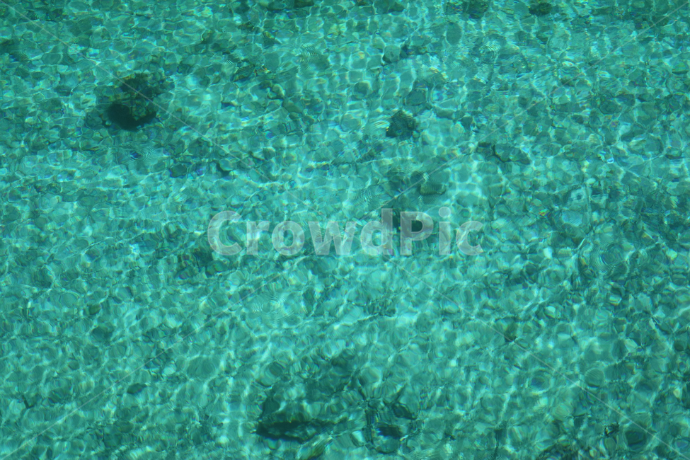 에메랄드,물빛,물결,물,투명한,맑은,자연,풍경,nature,landscape,water,outdoors,옥외,ocean,대양,sea,바다,animal,동물,sea life,해양 생물,reef,암초,underwater,수중,coral reef,산호초