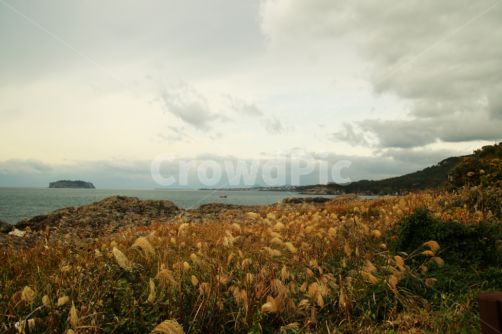 When to go,ocean,background,sight,jeju island