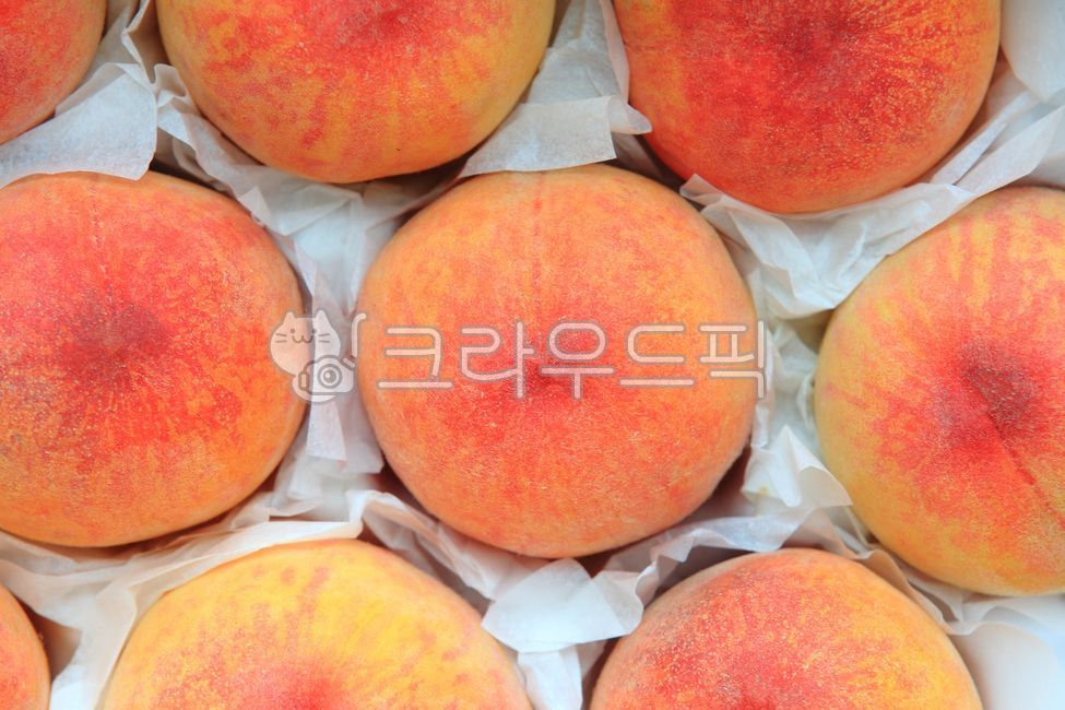 복숭아,여름과일,생과일,과일,열매,후식,디저트,달콤한,잘익은,수확,판매,제철과일,음식,food,fruit,식물,plant,식재료,신선한,농작물,농산물,자연,음식,식재료,요리,food,cook,meal,dishes,food reserves,과일,열매,fruit