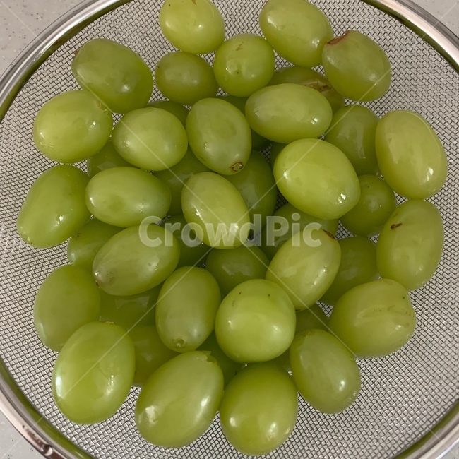 식물,food,plant,식품,grapes,포도,fruit,과일,청포도,샤인머스켓,과일,열매,fruit