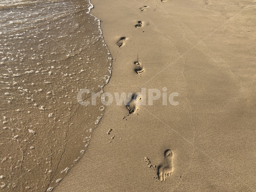 Daecheon Beach,footprint,human footprints,ocean,sandy beach