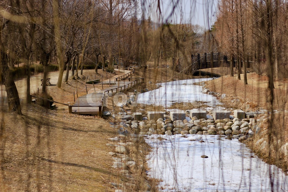 산책,가로수,배경,풍경,수목원,겨울,계절,winter,season,자연,풍경,nature,landscape,outdoors,옥외
