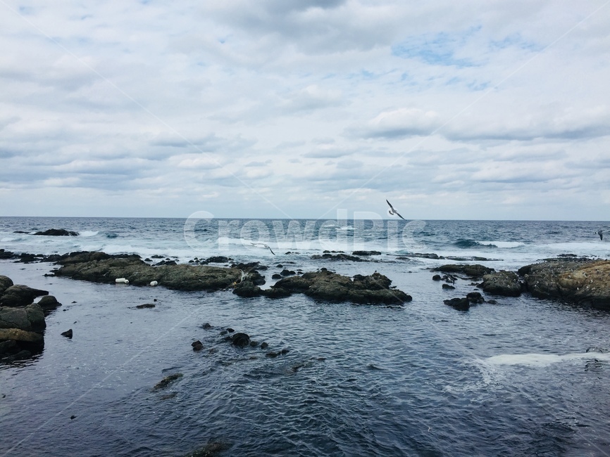 sea,바다,ocean,nature,자연,water,물,자연,풍경,nature,landscape