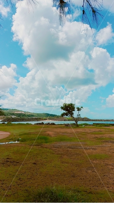 벌판,들판,하늘,나무,바다,괌,guam,field,자연,풍경,nature,landscape,outdoors,옥외,들
