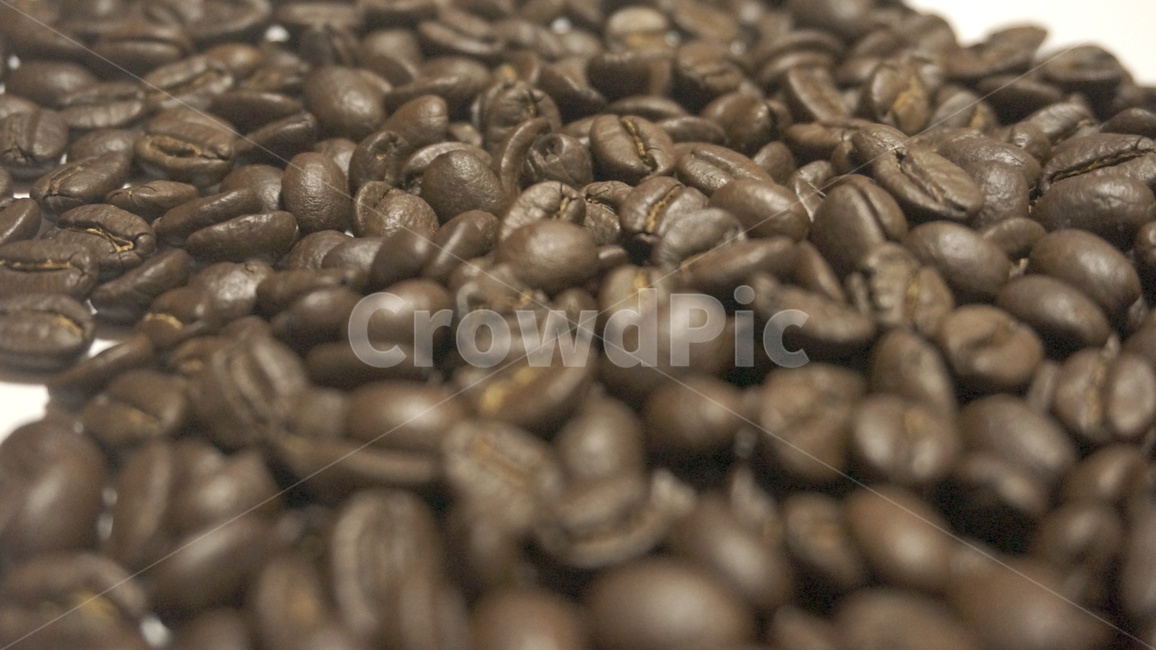 원두,원두커피,로스팅,커피,cafe,드립커피,스코트레버러토리,워시드방식,커피,카페,coffee,cafe