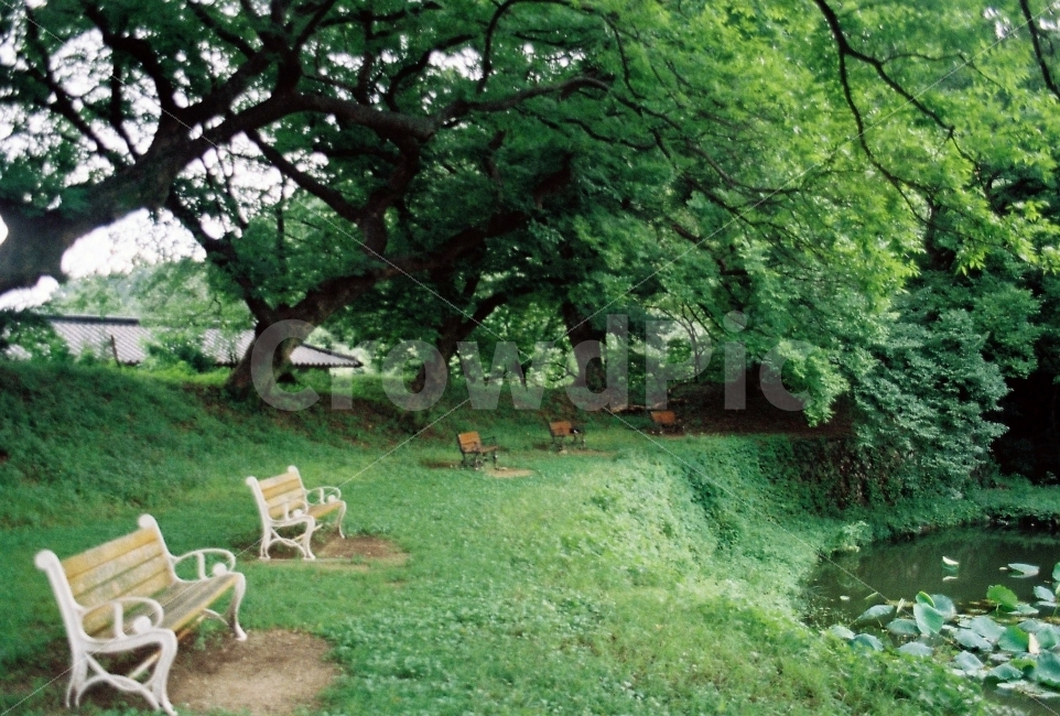 옻골마을,경주최씨종가,한옥마을,의자,벤치,휴식,자연,풍경,nature,landscape,휴식,힐링,rest,relaxation,healing,감성,sensible,feeling,plant,식물,grass,잔디,outdoors,옥외,yard,마당