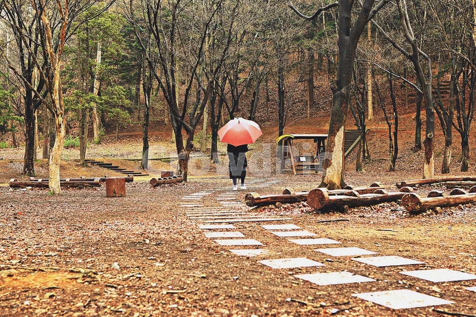 공원,빨강우산,나무,풍경,자연,배경,인천대공원