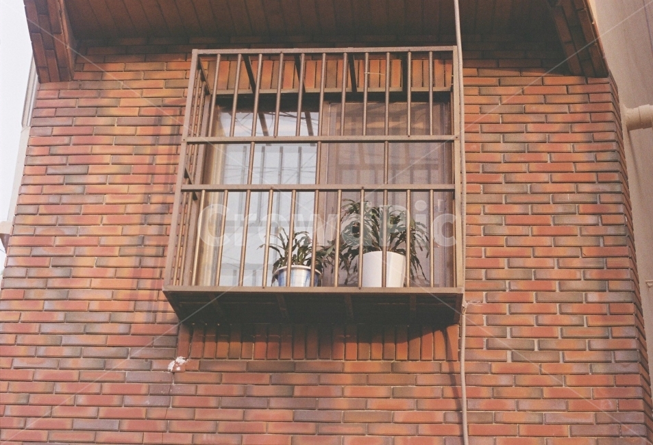 필름사진,일상,감성,화분,창문,담벼락,감성사진,35mm,벽돌,건축물,건물외관,exterior,building,structure,architecture,construction
