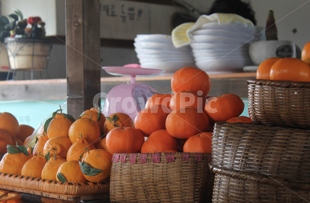 귤,겨울,한라봉,천해향,제주도,감귤,과일,오렌지,음식,식재료,요리,food,cook,meal,dishes,food reserves,과일,열매,fruit