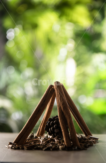 tent,cinnamon,rough,sunshine,house,triangle,mint,fall,grass,pine cone,wood,sunny,herbalmedicine,nature,medicinal material,tree,twigs,dry,medicine,leaf,branches,barren,sunlight,pillar,light,peppermint,background,pinecone,miniature,leavesbackground,autumn,h