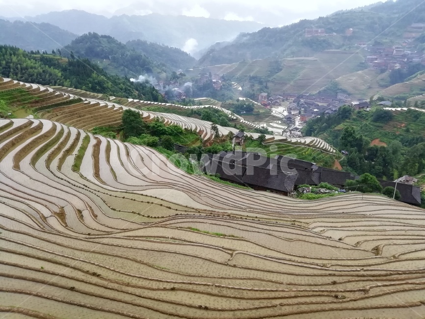 다락논,라이스필드,금갱대채,금불정,계림,용적제전,다랭이논,농업,농사,agriculture,farming,farming industry