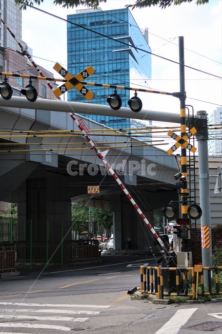 철길,철로,건널목,차단기,횡단보도,경고등,멈춤,교통,신호기,안전,교통,교통수단,traffic,transportation