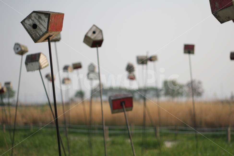 하늘공원,풍경,사물,새집,집,사진,사물,물건,오브젝트,thing,object,matter