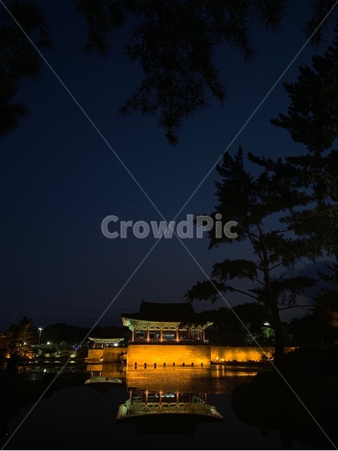 경주,동궁과월지,월지,안압지,한옥,building,건물,architecture,건축물,korea,처마,야경,water,물,nature,한국전통,한국문화,korean traditional,korean culture,건축물,건물외관,exterior,building,structure,architecture,construction
