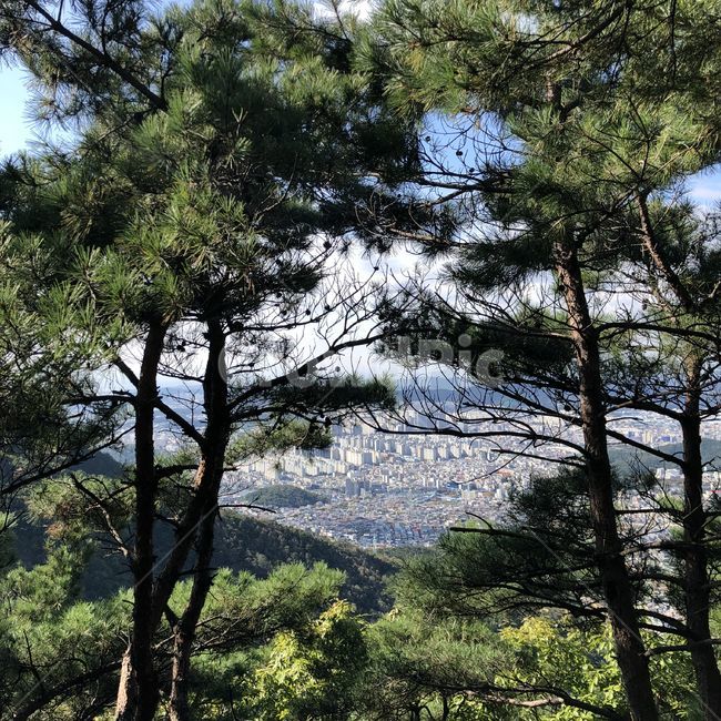 tree,나무,plant,식물,하늘,sky,hiking,하이킹,등산,자연,nature