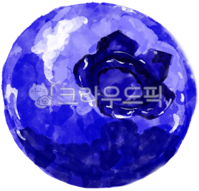 Blueberry,eye health,fresh,cafe,blue,hand drawing,cute