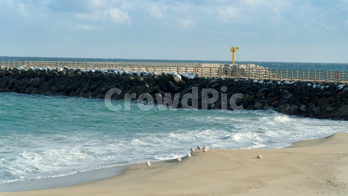 해변,바다,sea,beach,감성사진,갈매기,seagull,랜드스케이프,landscape,자연,해변,바다,beach,sea