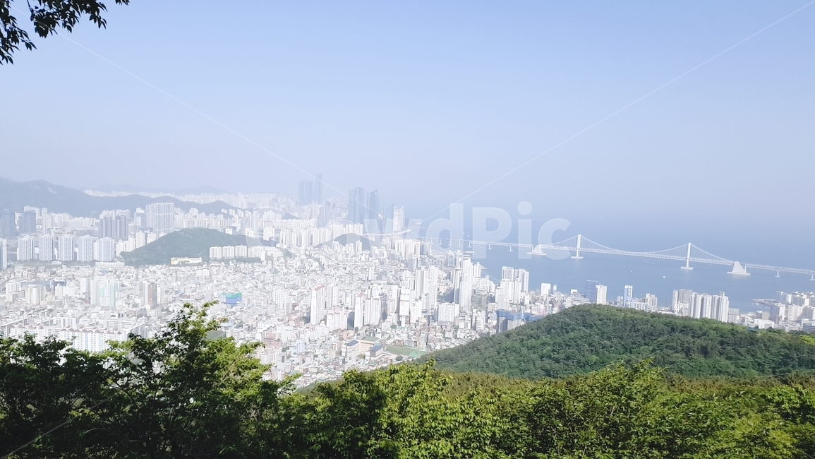 부산,경치,건물,바다,도시