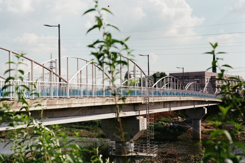 bridge,다리,building,건물,road,필름사진