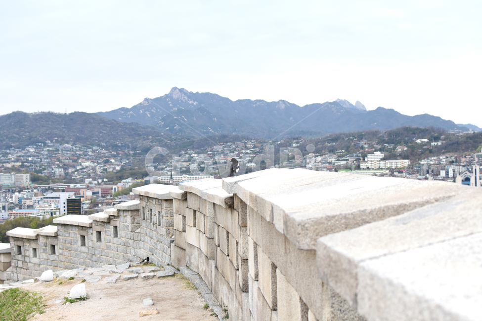 한양도성,낙산공원,서울성곽,문화재산,까치,도시,풍경,city,landscape,한국도시풍경,한국도시경관,korea cityscape,동물,animal,조류,새,birds,slope,경사