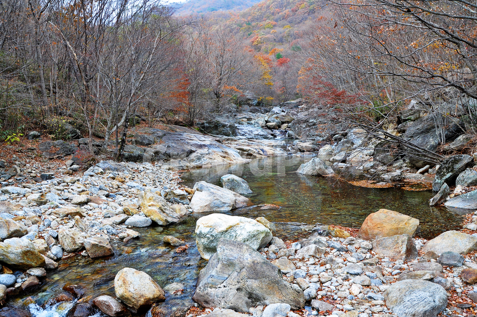 구례,피아골,피아골계곡,단풍,폭포,leaf,잎,plant,식물,tree,나무,maple,water,물,scenery,풍경,outdoors,옥외,nature,자연,landscape,경치,가을,계절,fall,autumn,season,자연,풍경,nature,landscape