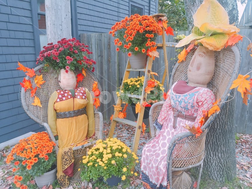 가을,추수감사절,밀짚인형,아늑,인형,가을,계절,fall,autumn,season
