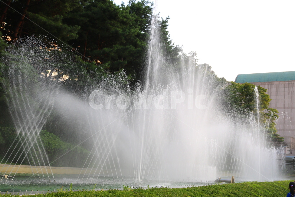 분수,분수대,물,공원,예술의전당,나무,소나무,자연,풍경,nature,landscape,water,fountain