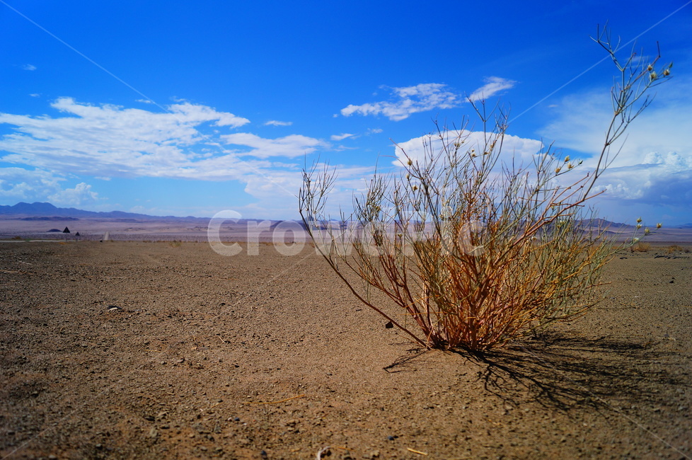 nature,자연,soil,outdoors,흙,사막,모래,desert,sand,옥외,ground,바닥