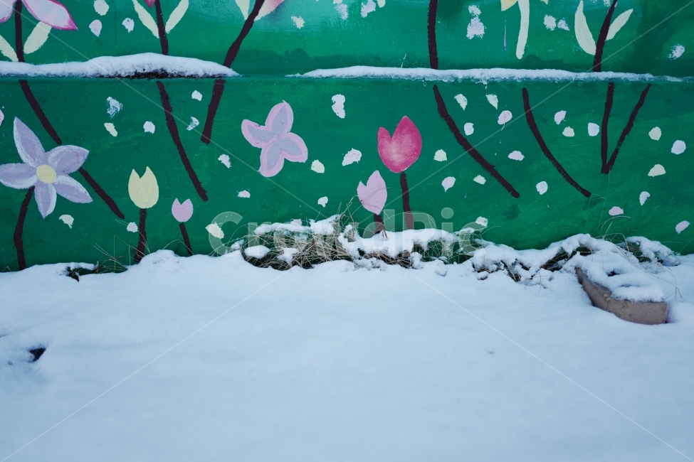 눈,겨울,철거지역,봄,희망,벽화,꽃,겨울,계절,winter,season