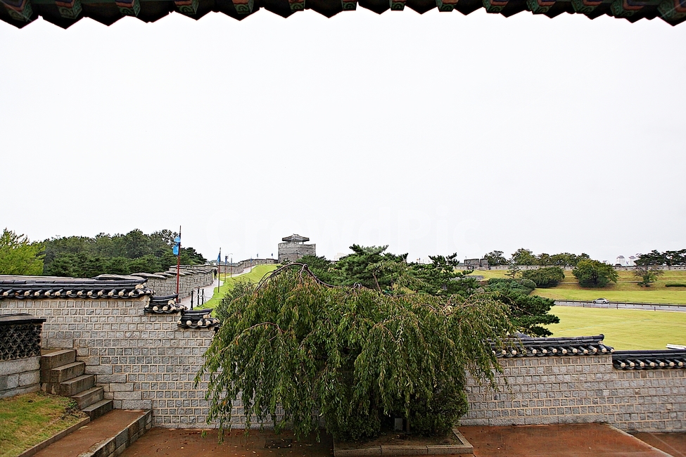 수원화성,성,성곽,길,둘레길,돌담,담,가을,자연,풍경,벽,방어벽,전통,식물,한국전통,한국문화,korean traditional,korean culture