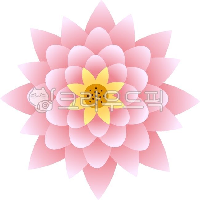 연꽃,꽃,lotus,flower,꽃일러스트