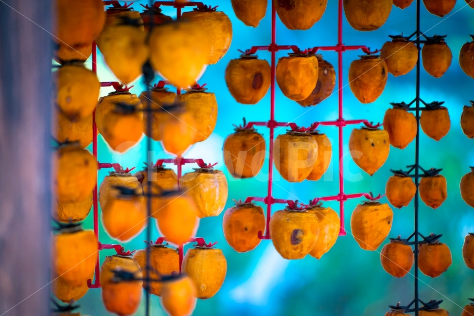 Hahoe village,Persimmon,snack,persimmon,food