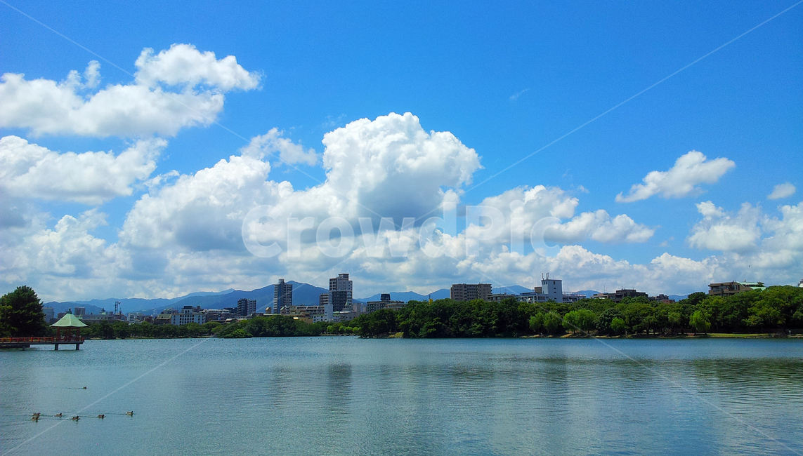sky,japan,nature,Ohori Park,sperm,nice weather,cloud,sight,weather,Fukuoka,Tourist destination,lake