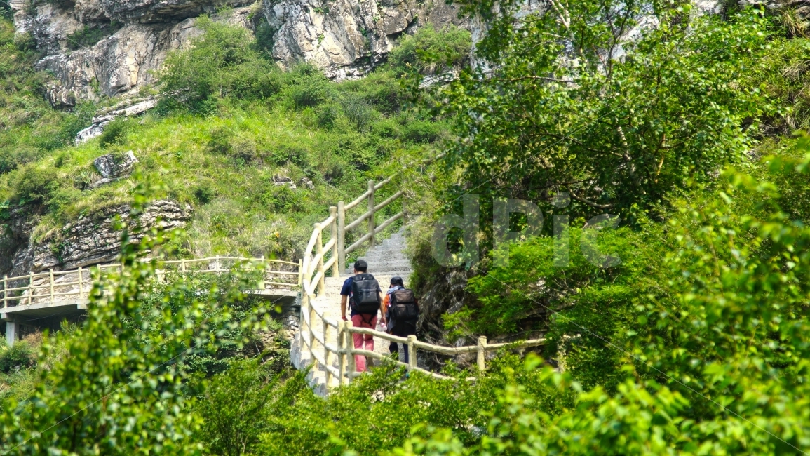 중국,백석산,동료,친구,동행,북경,트랙킹코스,산,등산,자연,숲,관광지,여행지,트랙킹,관광객,등산코스,자연경치,자연풍경,나뭇잎,나무,푸른잎,산속걷기,자연,풍경,nature,landscape,여름,계절,summer,season,사람,인물,인간,human,person,스포츠,레저,운동,sports,leisure,exercise,outdoors,옥외