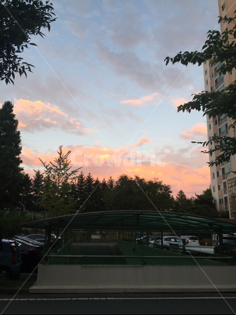 하늘,구름,색감,분홍색구름,노을