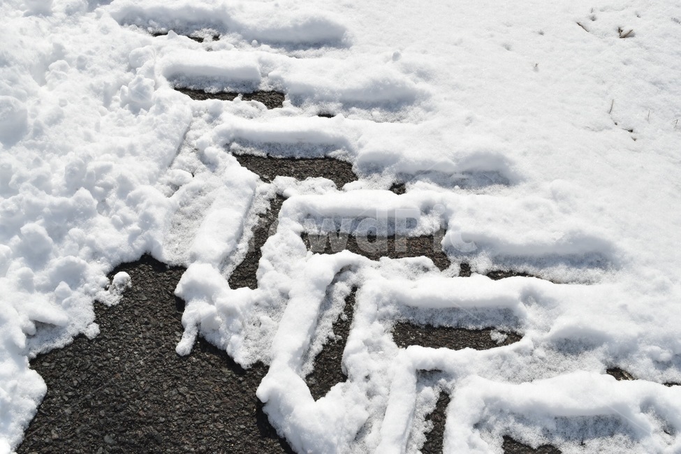 눈,바퀴,자국,눈자국,겨울,겨울,계절,winter,season
