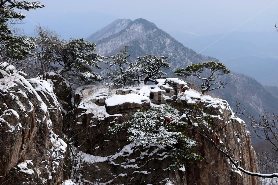 설경,풍경,대둔산,눈꽃,삼선계단,자연,nature,landscape,겨울,계절,winter,season,탐방,도립공원,힐링,감성,정취,산세,명산,100대명산,산,등산,트레킹,풍경사진,비경,경치,겨울사진,겨울색채,경관,기암,암봉우리,mountain,금산,완주,논산,마천대,케이블카,구름다리,fall,autumn,한국자연풍경,한국자연경관,korea,겨울,계절,winter,season,자연,풍경,nature,landscape,tree,나무,plant,식물,outdoors,옥외,mountain range,산맥,fir,전나무