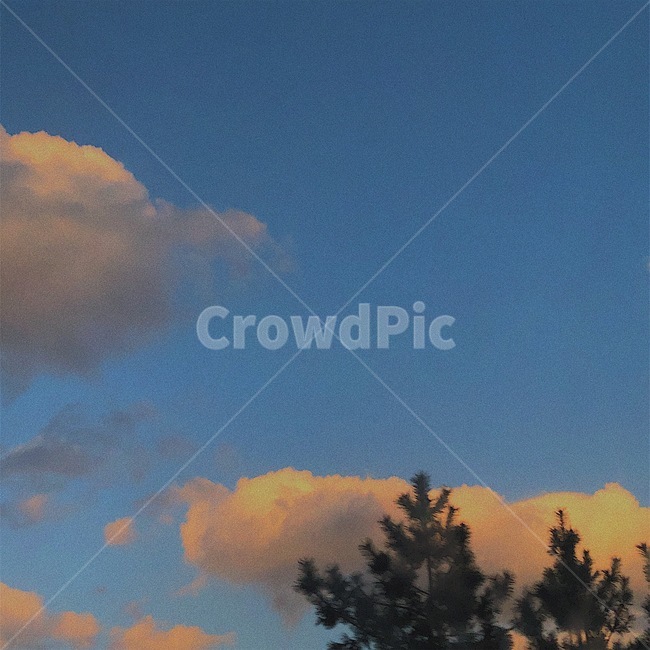 하늘,구름,나무,sky,cloud