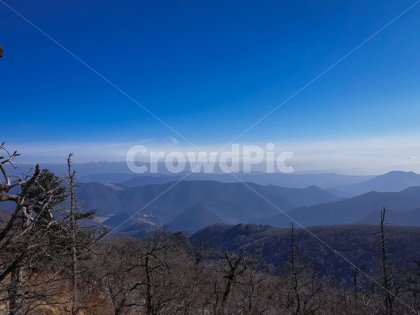 nature,자연,mountain,산,mountainrange,옥외,outdoors,plant,식물,tree,나무