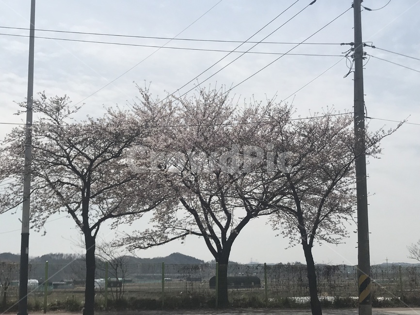 도시,풍경,일상,도로,드라이브