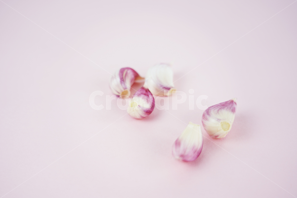 마늘,음식,식품,요리재료,음식재료,식재료,양념,한식,통마늘,재료,농작물,음식,식재료,요리,food,cook,meal,dishes,food reserves