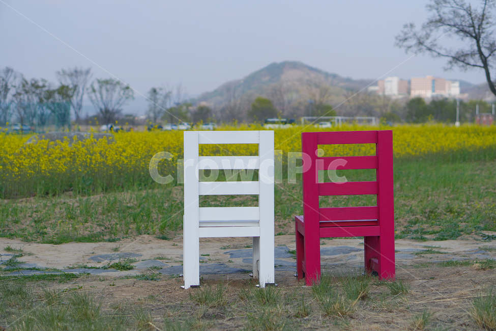chair,의자,field,들,커플