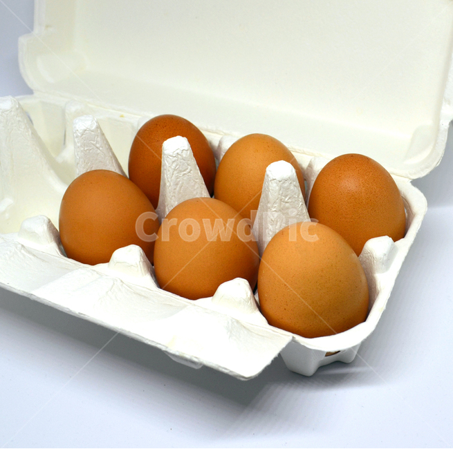 계란,음식,건강식품,알,식품,달걀,음식,식재료,요리,food,cook,meal,dishes,food reserves