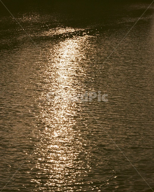 water,물,필름,햇빝,물결,필름카메라
