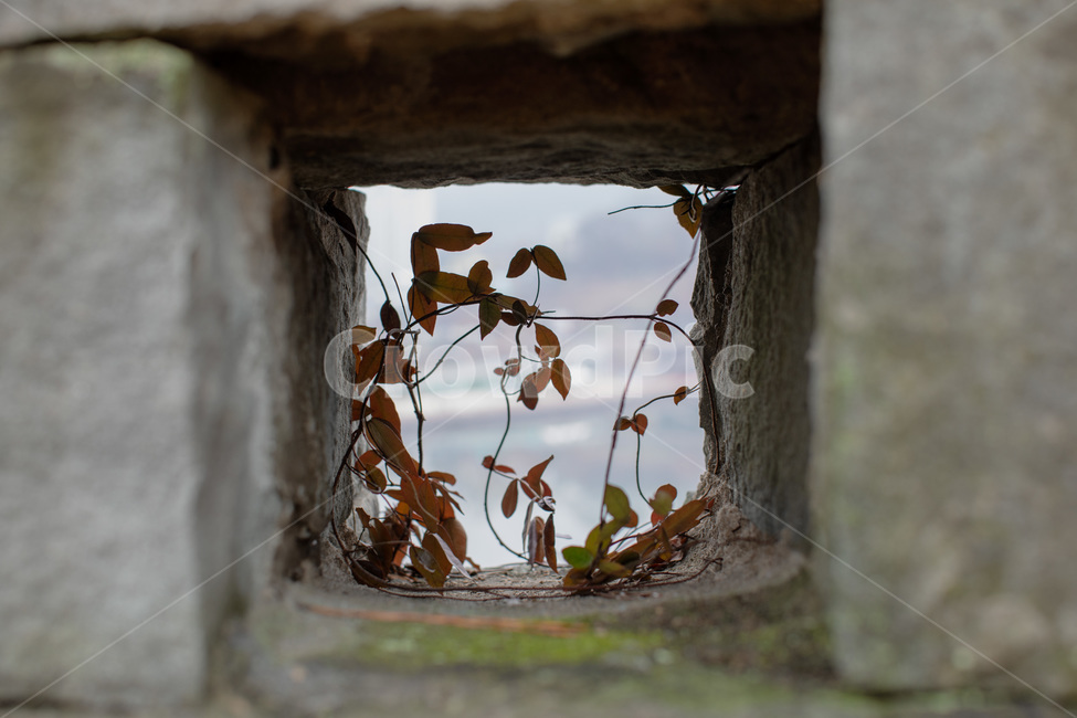 감성,일상,나뭇잎,네모,프레임,네모칸,가을,계절,fall,autumn,season,hole,구멍