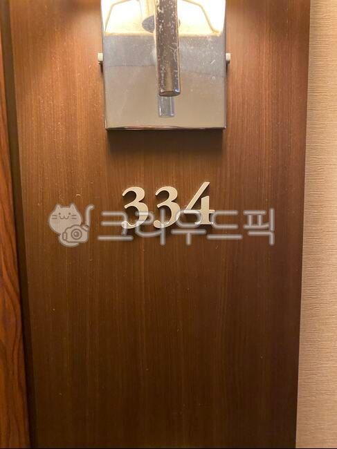 문,호텔문,도어,roomnumber,number,door,334