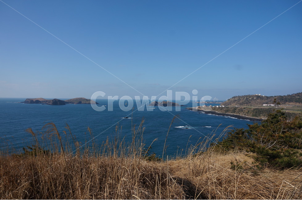 제주도,하늘,수평선,바다,jejuisland,blue,sky,sea,horizon,차귀도,갈대,풍경,scenery,자연,풍경,nature,landscape,제주도,jeju,jeju island,promontory,곶,land,땅,outdoors,옥외,water,물,shoreline,해안선,ocean,대양,grass,잔디,plant,식물