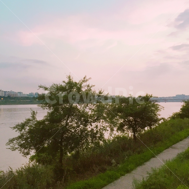 하늘,한강,해질녘,sunset,노을,분홍하늘,분홍색,분홍색풍경,풍경,강가,나무,자연,풍경,nature,landscape,outdoors,옥외,water,물